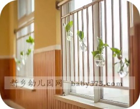 aaa16-绿植教养廊aaa.jpg aaa16-绿植教养廊aaa.jpg